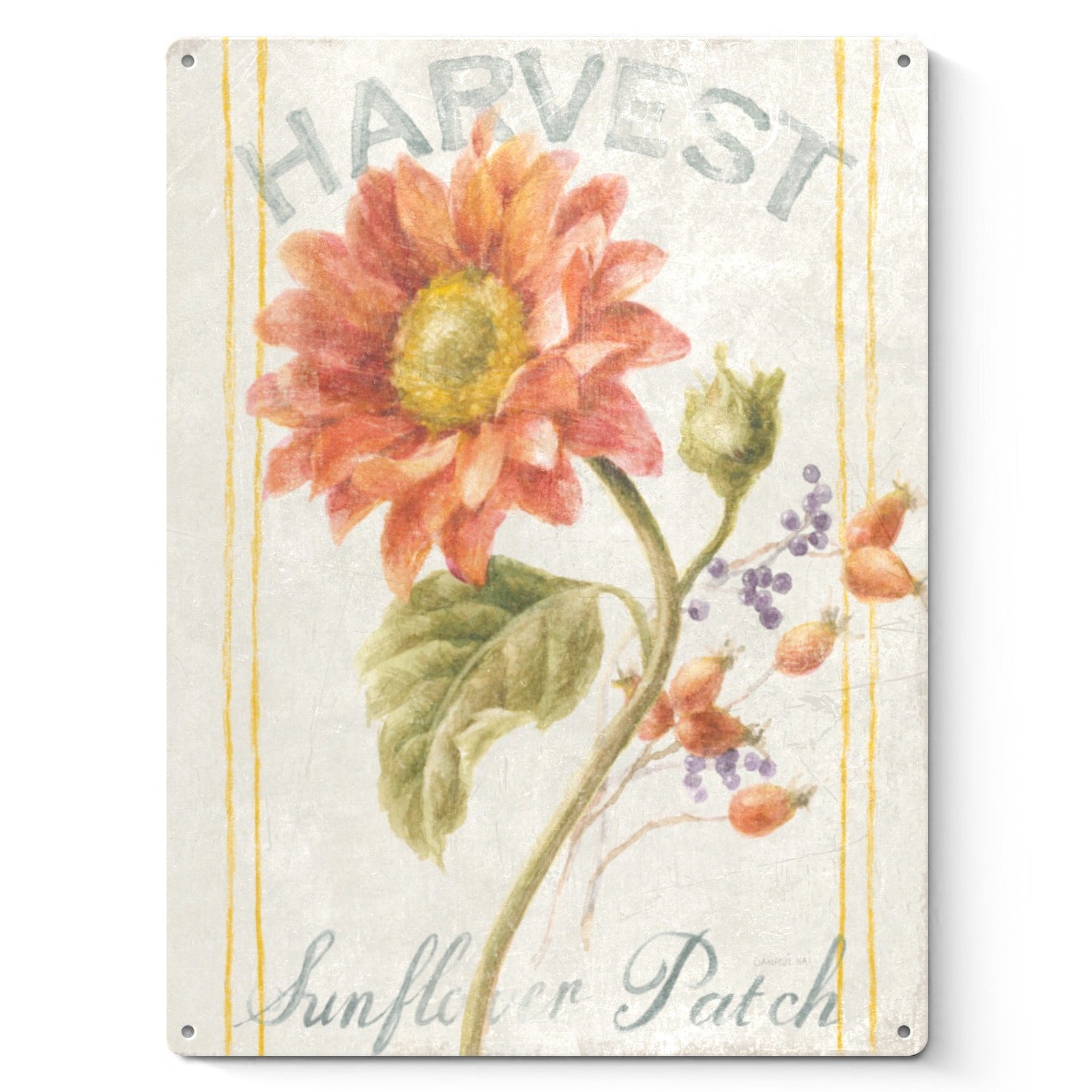 Harvest Sunflower Patch Metal Sign in USA; Iron wall art with floral illustration and vintage style