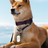 Custom Metal Keychain Customizable Special Text, Date, and Name