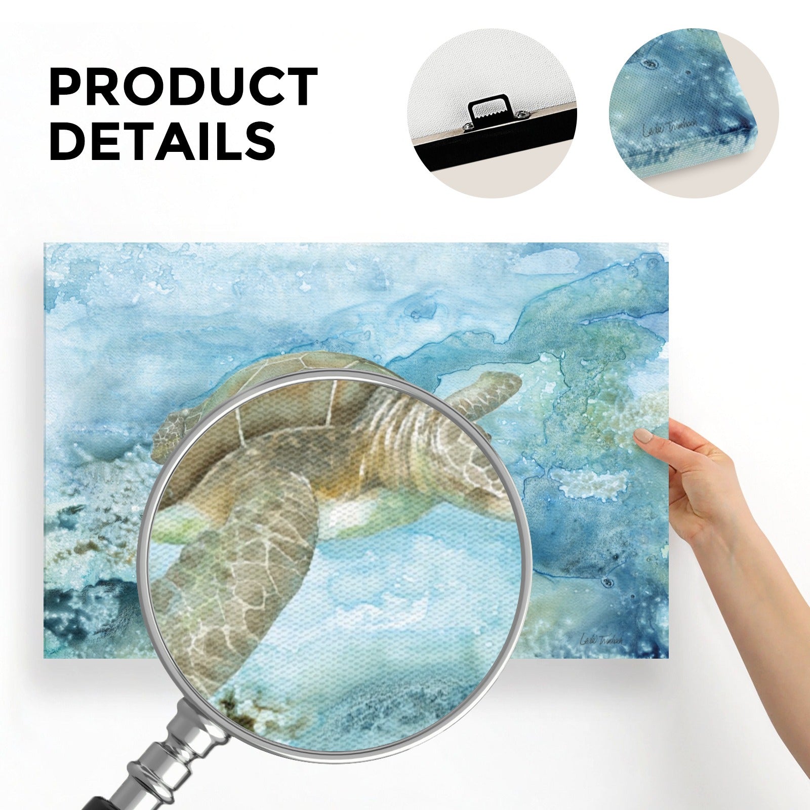 Sea Turtle Canvas Print Details, Watercolor Sea Life Art, Made in USA. Features easy installation.