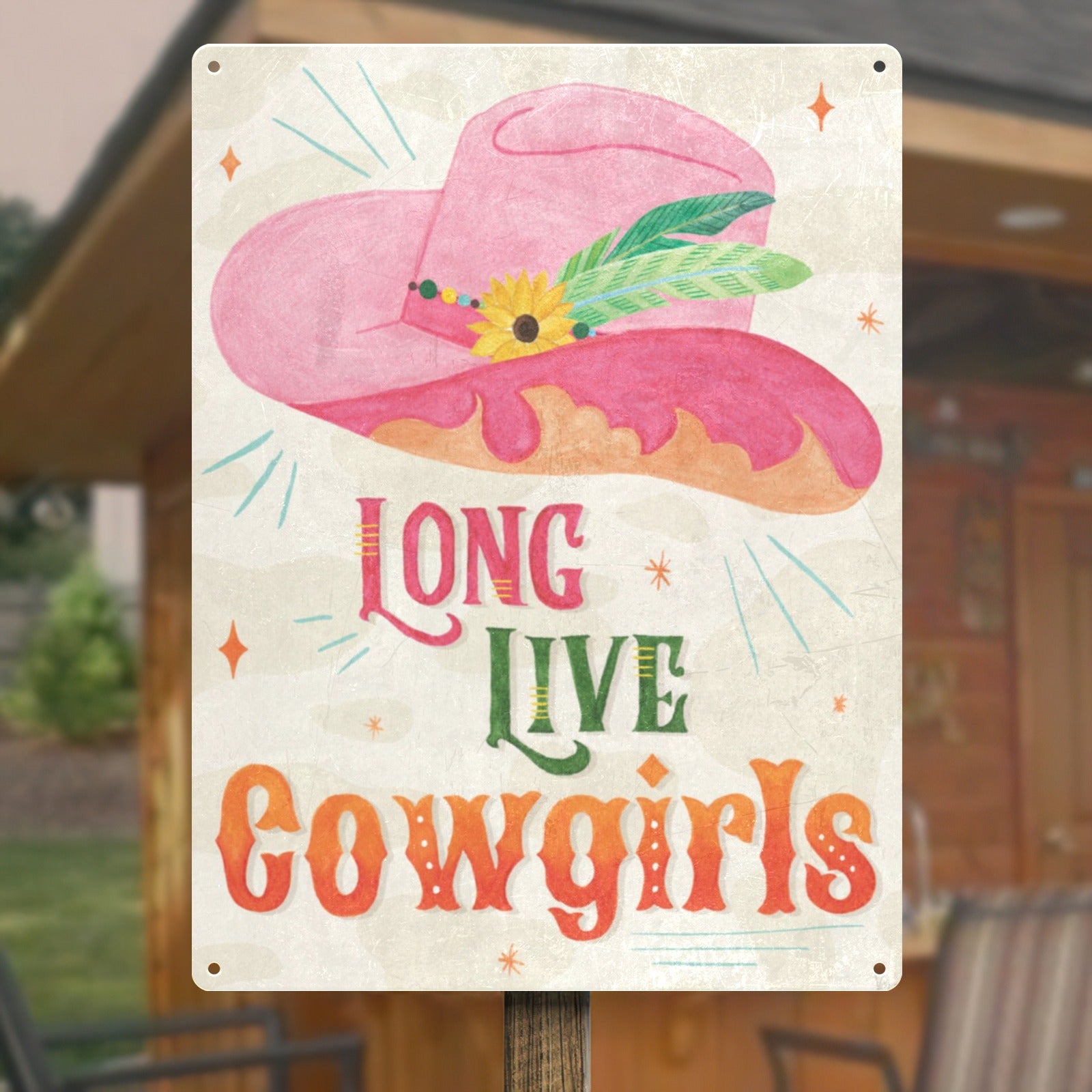 Cowgirl Club III tin sign, pink cowboy hat, Long Live Cowgirls text, home decor, iron material